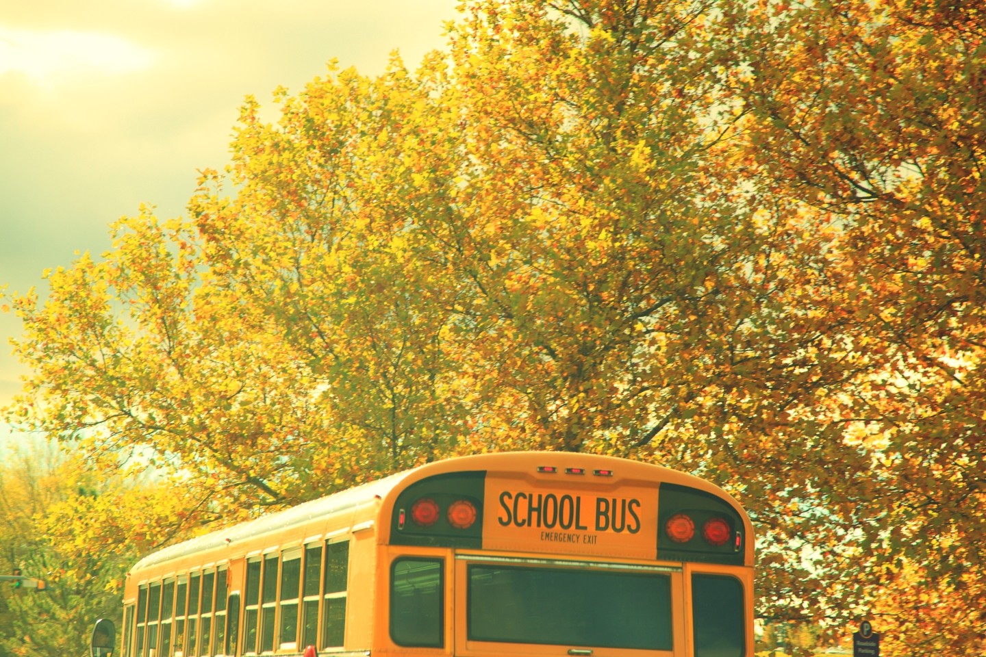 ÐÐ°ÑÑÐ¸Ð½ÐºÐ¸ Ð¿Ð¾ Ð·Ð°Ð¿ÑÐ¾ÑÑ autumn school